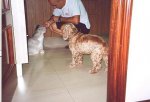 montaje 0012.JPG
