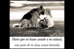 ImageUploadedByTapatalk1337719066.935612.jpg