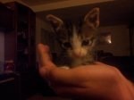 20120606_232431.jpg