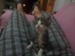 20120607_005447.jpg
