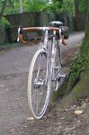 MERCIAN K.jpg