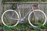 MERCIAN H.jpg