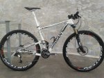 giant 29er easton1.jpg