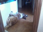 koritadurmiendo.jpg