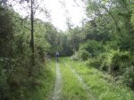 cameros_2005_094_800x600.jpg
