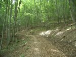 cameros_2005_097_800x600.jpg