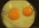 201108034309_91100200_Owneds_com.gif