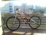bici1.jpg