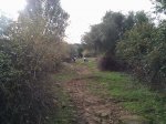IMG_20121125_112534.jpg