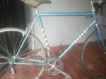 bicicleta ceus 5.png