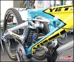 yeti2_624.jpg