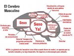 cerebro_masculino.jpg