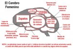 cerebro_femenino.jpg