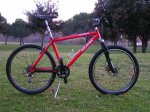 anukleinmtb (1).jpg