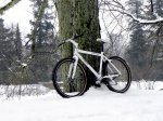 klein90.jpg