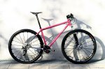 cyclo_totxo_pink_love_steel_29r_white_wall1.jpg