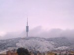 nevada collserol.jpg