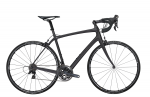 TrekBicycle.png