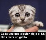 gato.jpg