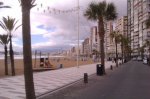 IMAG0724.jpg