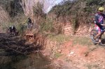 IMAG0781.jpg