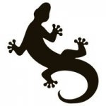 lagarto.JPG