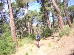 capturadas_2005-6-12_00005.jpg