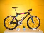 colnago_mountainbike_gross.jpg