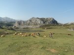 DSC01600.jpg