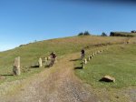 DSC02330.jpg