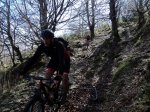 DSC02345.jpg