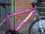 Bici rosa 002.jpg