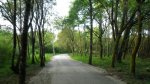 IMGP7419 (Copiar).JPG