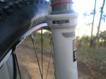 scoot bikecarbono Jose 015.JPG