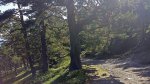 20130707_102425.jpg