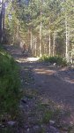 20130707_103502.jpg