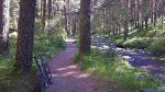20130707_110307.jpg