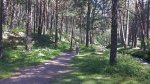 20130707_112759.jpg