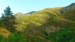 DSC_0846.jpg