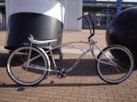 dsc00650v1.jpg
