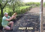 angry-birds-en-la-vida-real-fotos-chistosas.jpg