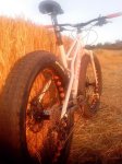 IMG_20130827_204125.jpg