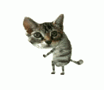 gato.gif