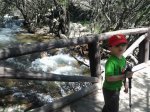2013-05-11 12.30.41.jpg