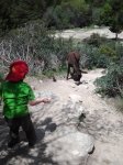 2013-05-11 13.50.49.jpg
