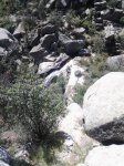 2013-05-11 15.45.58.jpg