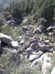2013-05-11 15.46.10.jpg