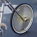 gold rims.jpg