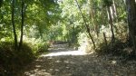 IMGP8016 (Copiar).JPG