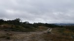 IMGP8041 (Copiar) (Copiar).JPG